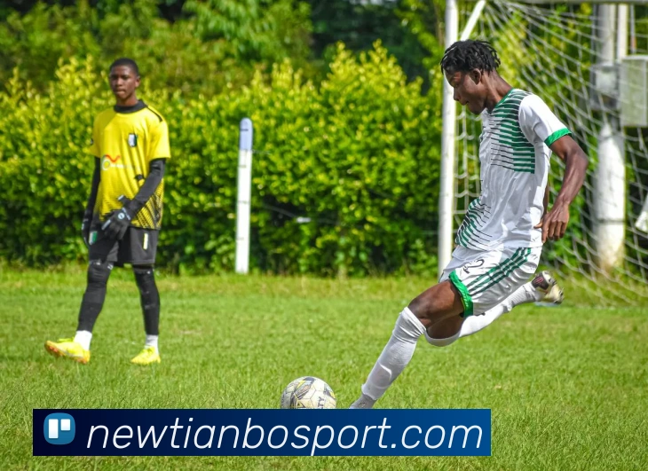 多媒体互动体验