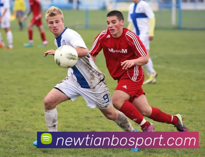 天博体育APP 高清赛事图